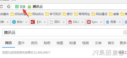 HTTPS 公司名显示2